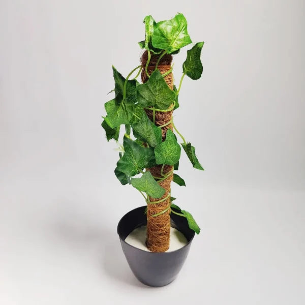 Artificial Money Plant with Coconut Stick🌿