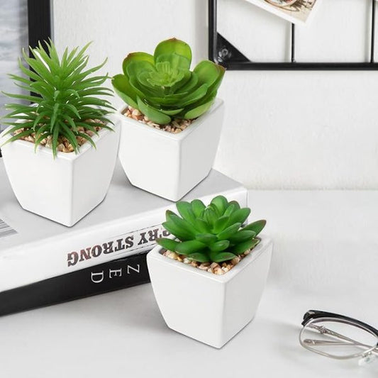 Mini Artificial Plant Ball | Square Shape Decoration for Home & Office🌿