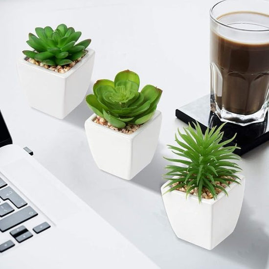 Mini Artificial Plant Ball | Square Shape Decoration for Home & Office🌿